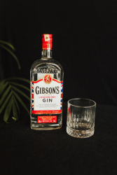 GİBSONS  6  CL