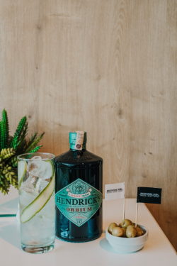 HENDRICKS ORBIUM 6 CL